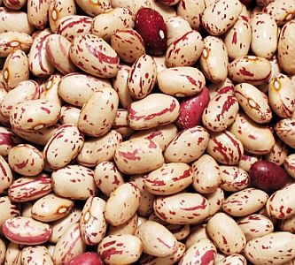 Pinto beans (Fasole pestrita), 2.21lb (1kg)